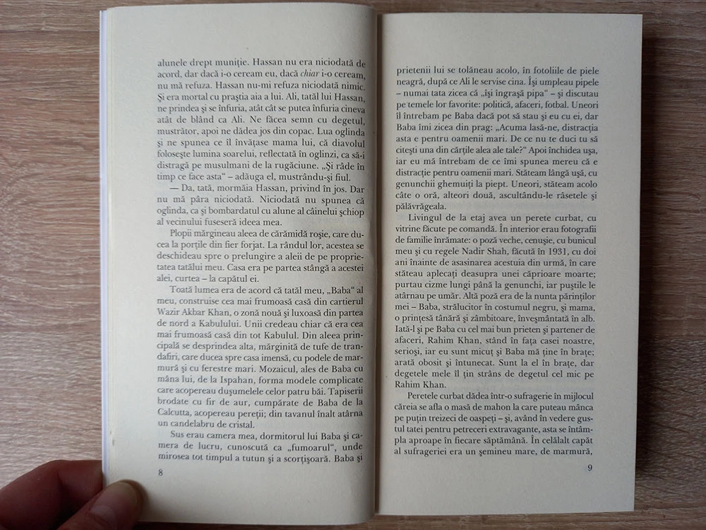 Vânătorii de zmeie - Pagina 3