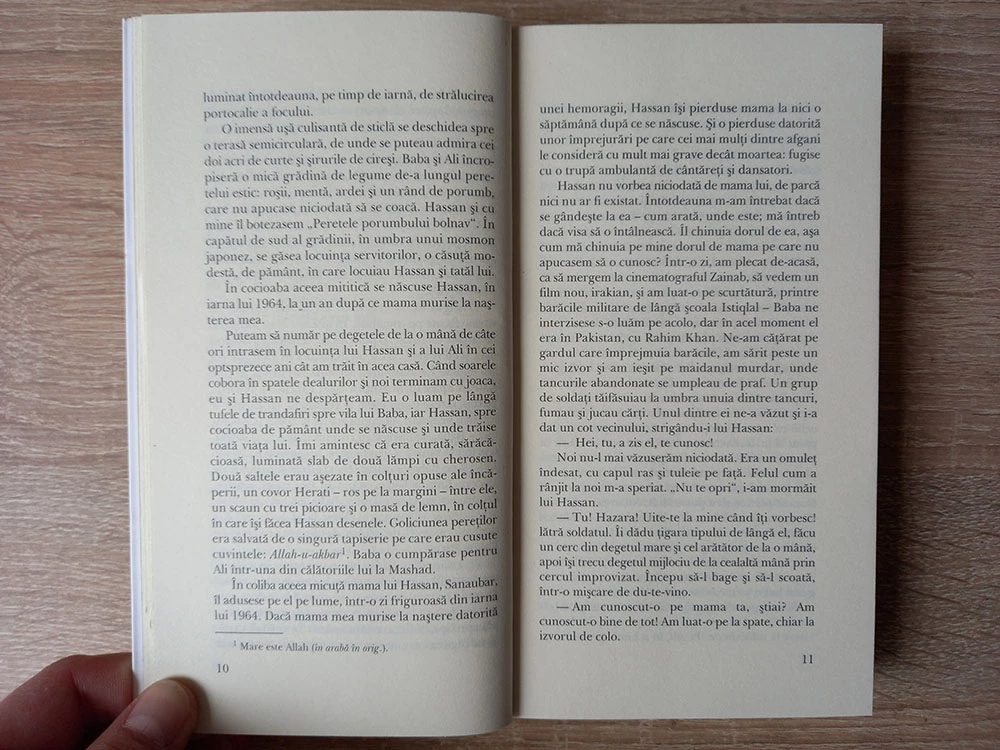 Vânătorii de zmeie - Pagina 4